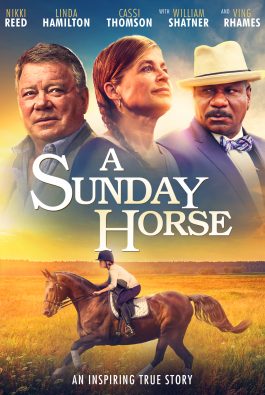 A Sunday Horse